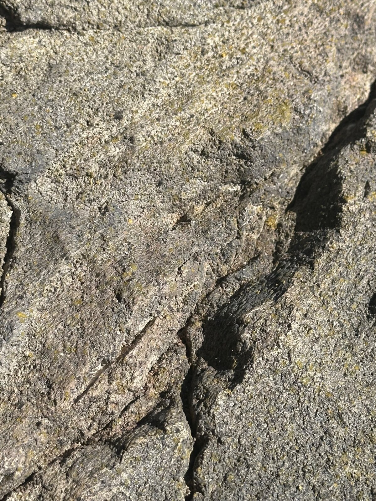 Échantillon réel Faille de Lacrouzette avec texture granitique grise et faille profonde — Authenti-Stones™